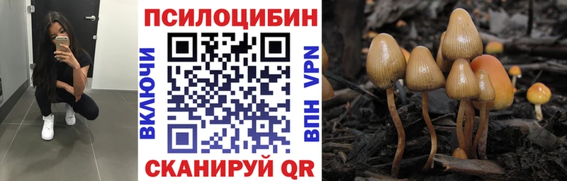 Купить где  Осинники  Псилоцибиновые грибы Cubensis 